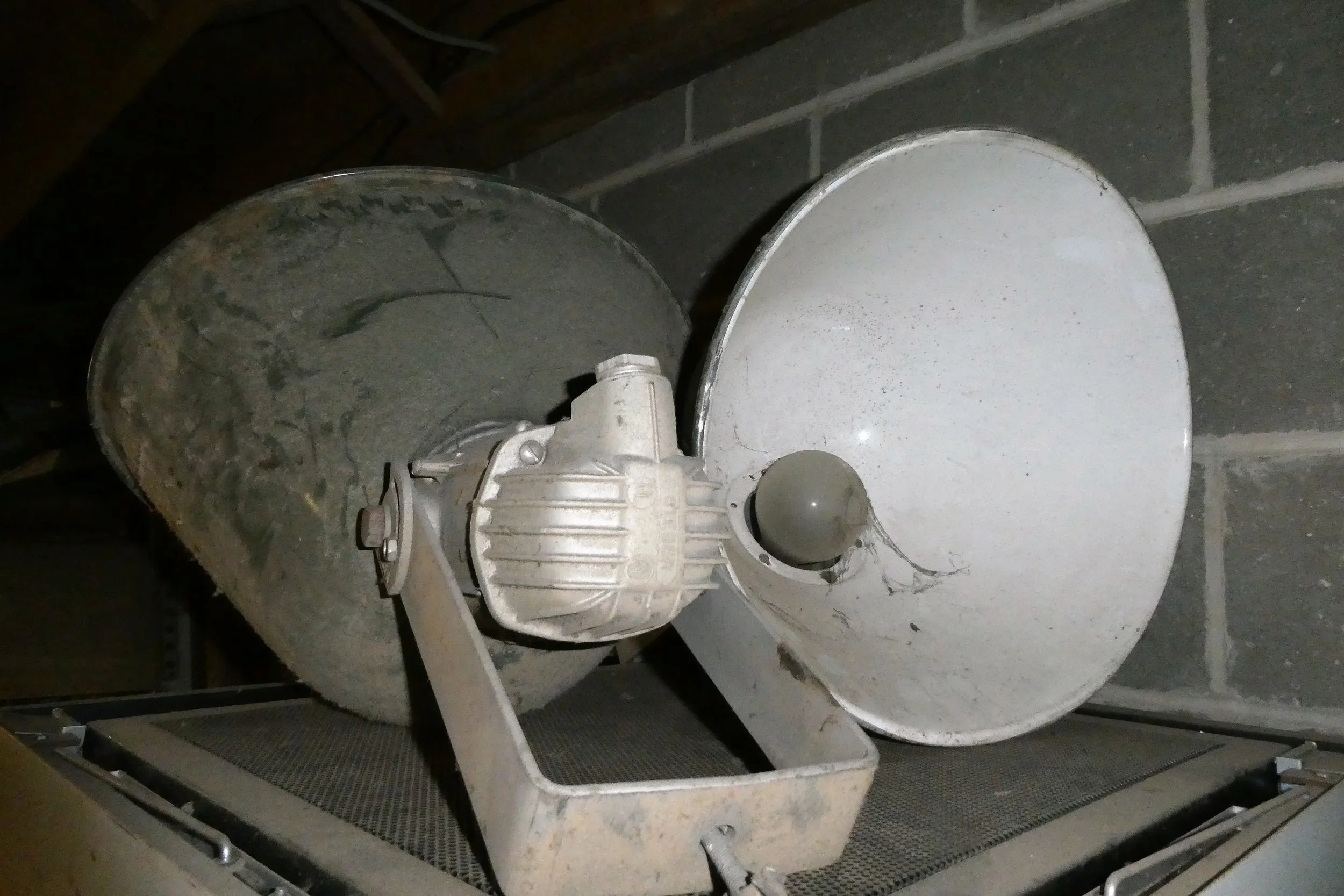 P1000524.JPG