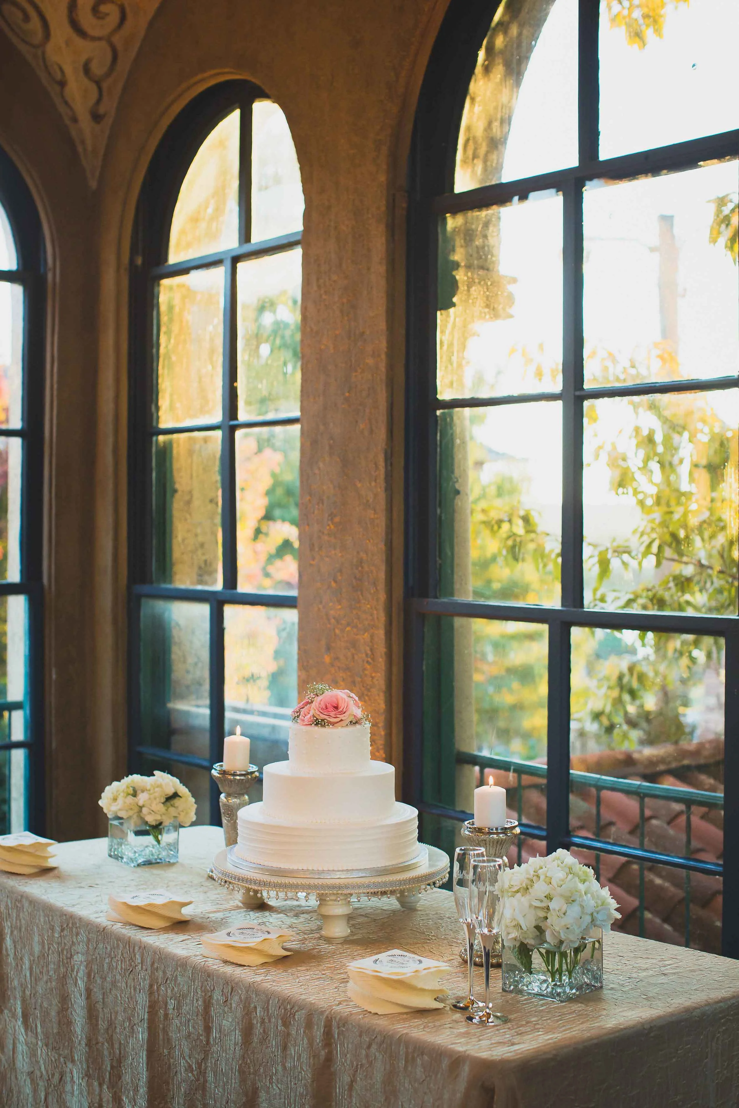 Amy Little Photography