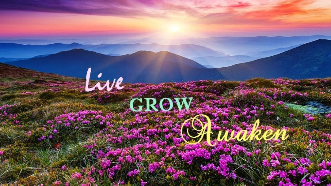 PUrple sky final.jpg