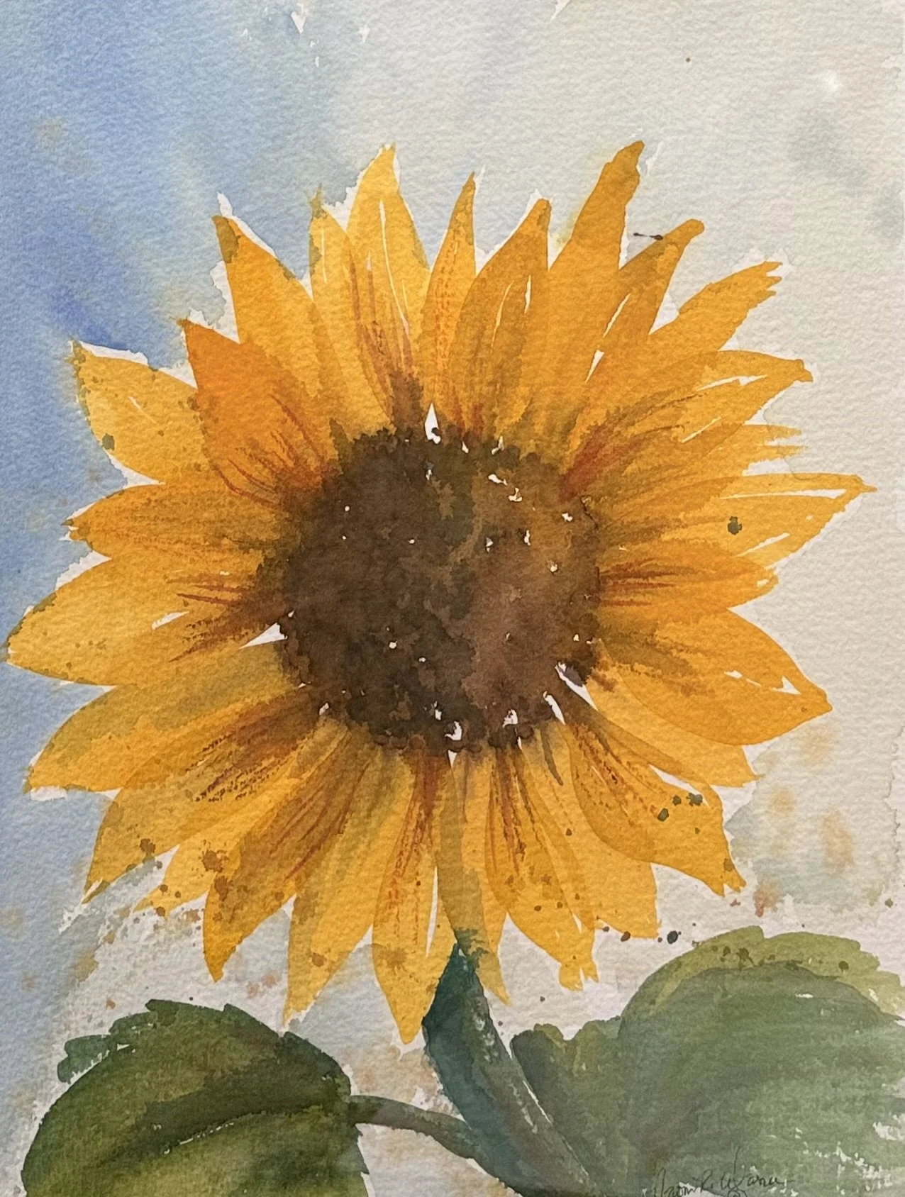 Glory of Summer.jpeg