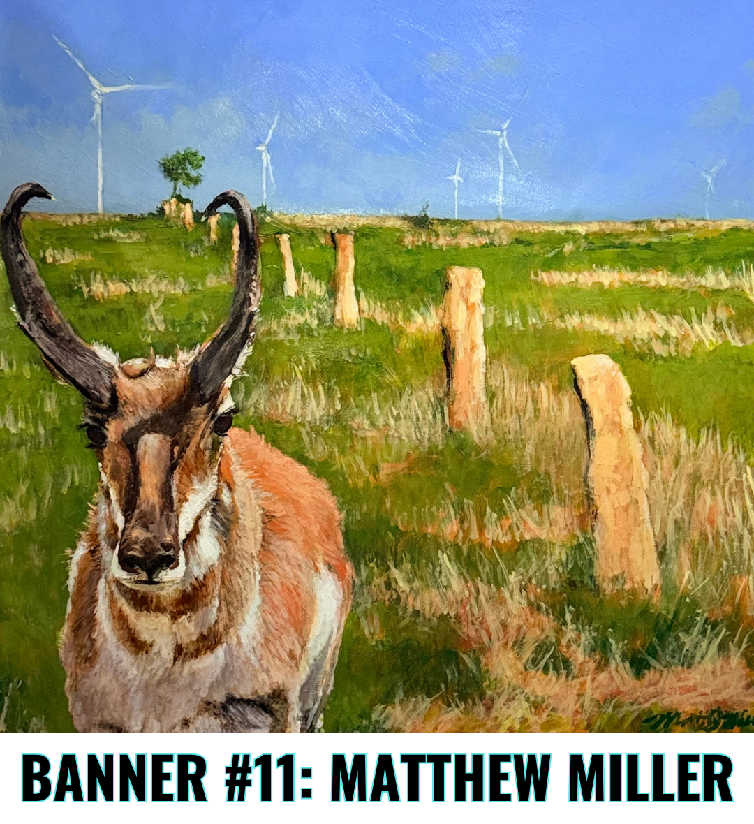 Matthew Miller banner