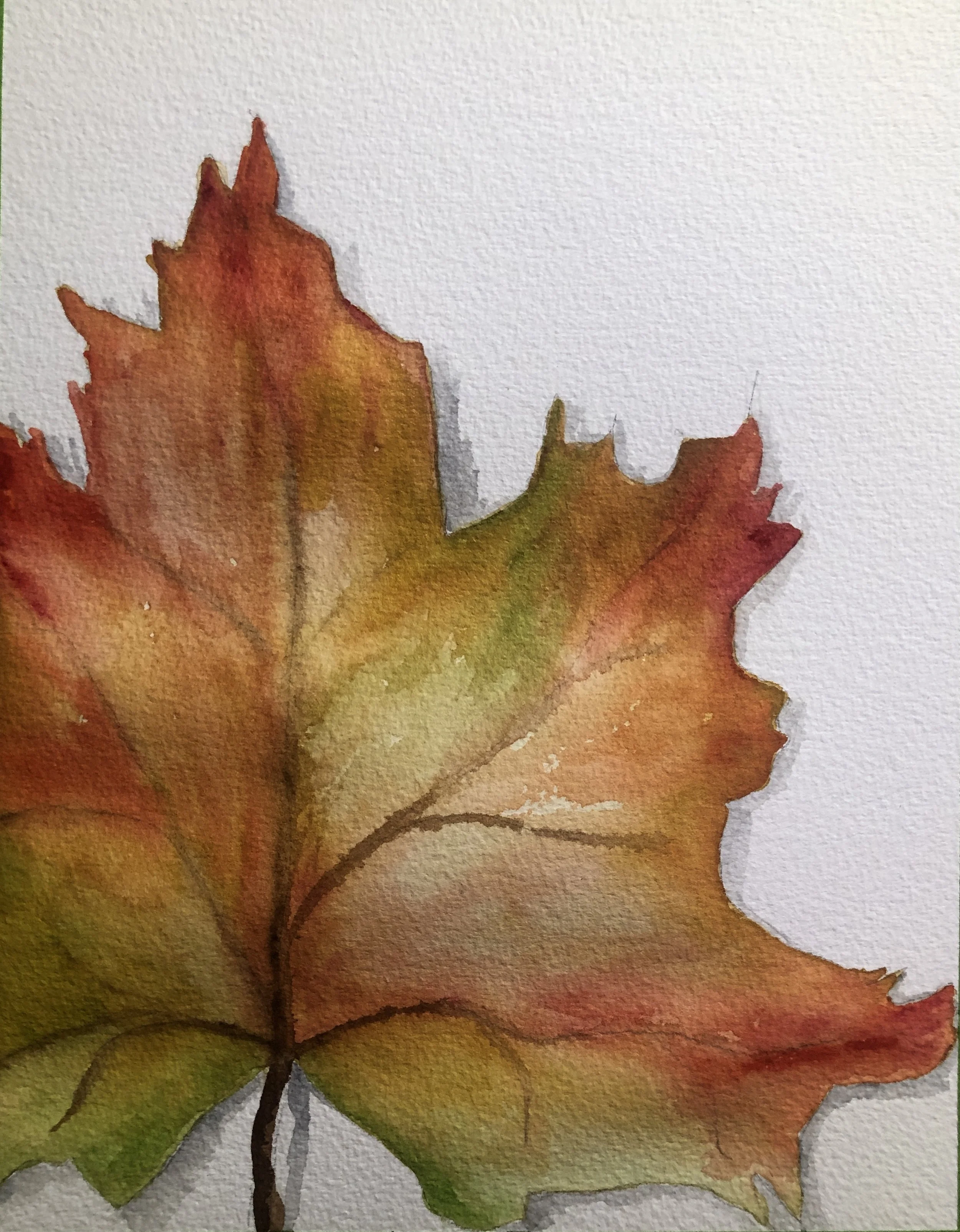 Watercolor painting of an autumn maple leaf with shades of orange, red, yellow, and green on a white background.