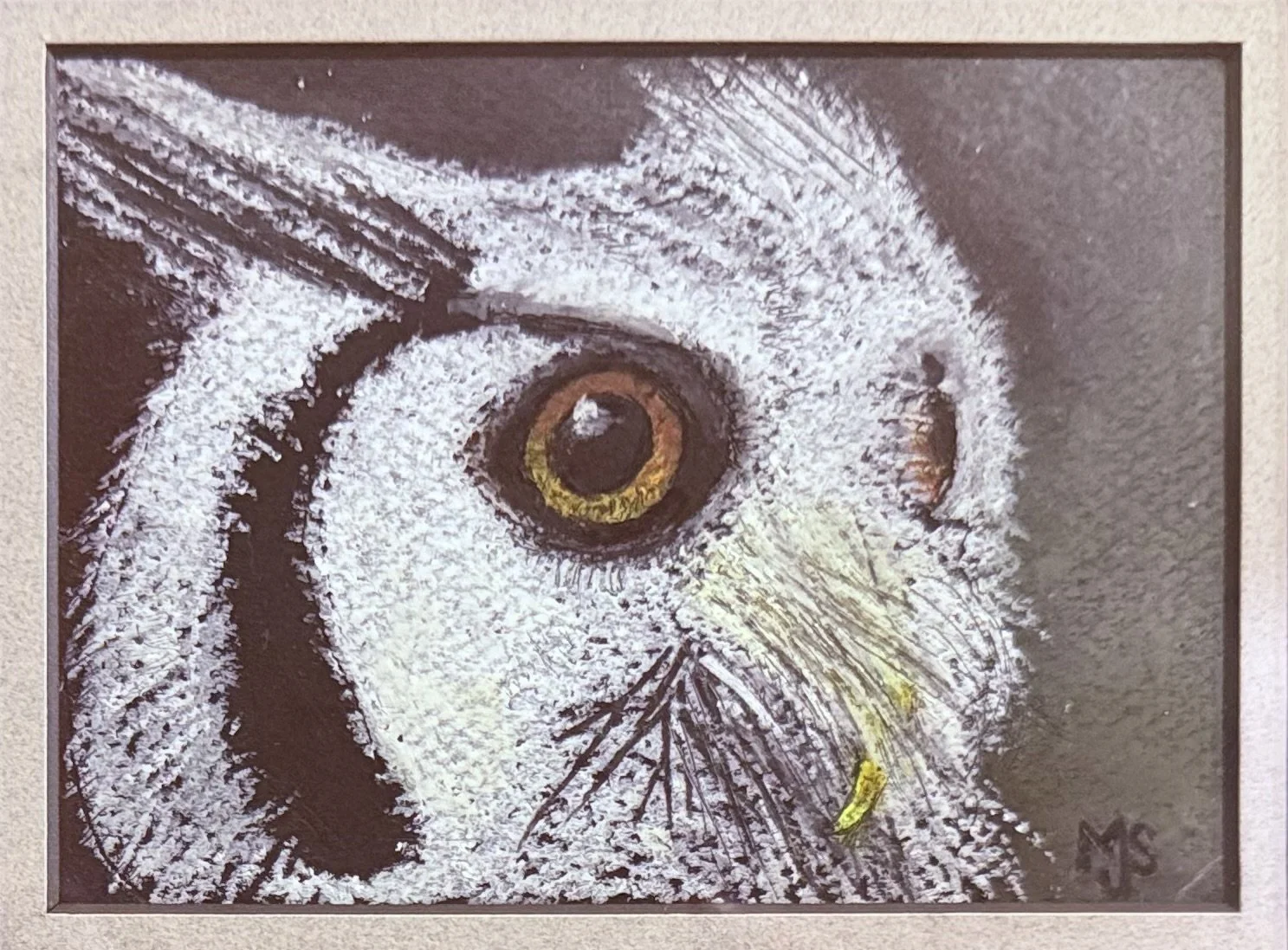 Original Artwork by Mary Jo Schultz "Owl"