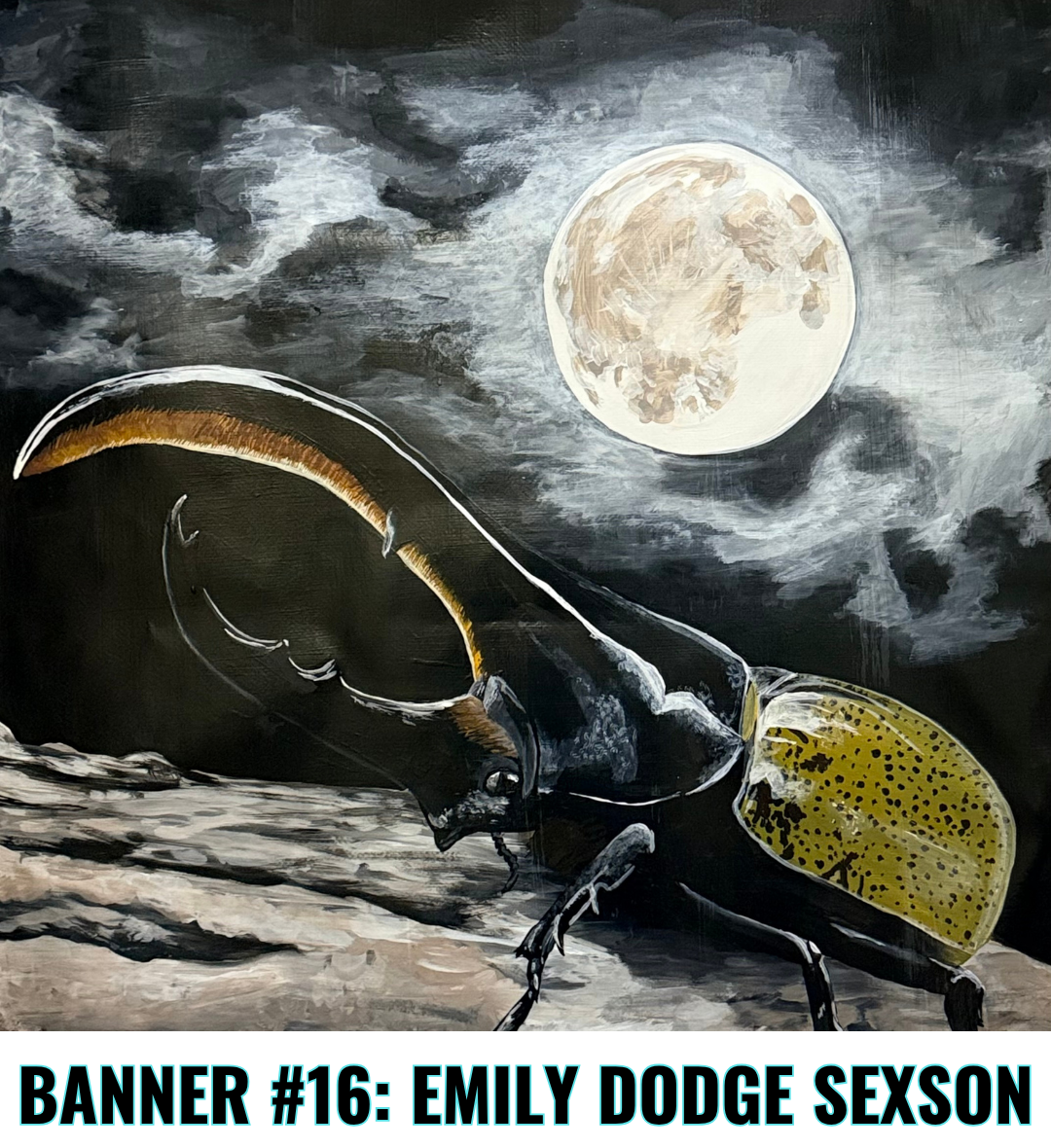 Emily Dodge Sexson banner