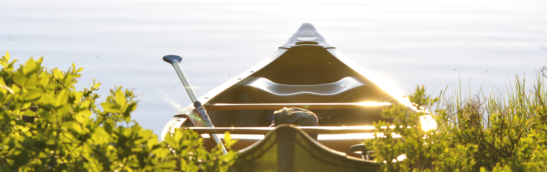 banner - sea-nature-sunny-summer.jpeg