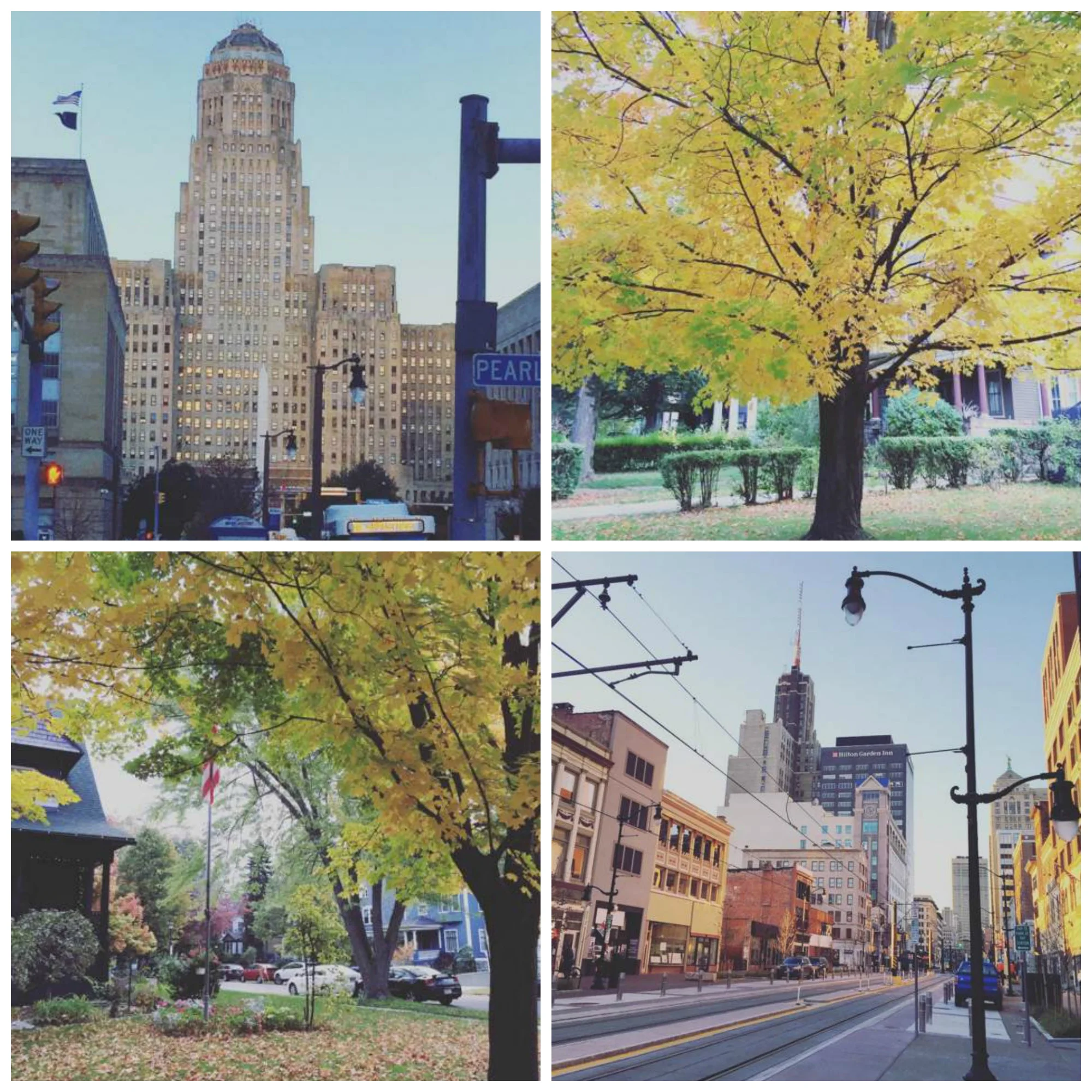 Downtown Buffalo + Elmwood Village
