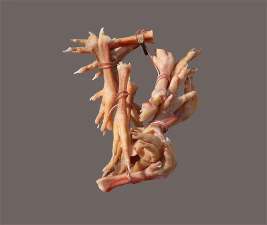 4_chicken claws.jpg