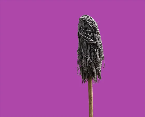6_mop.jpg