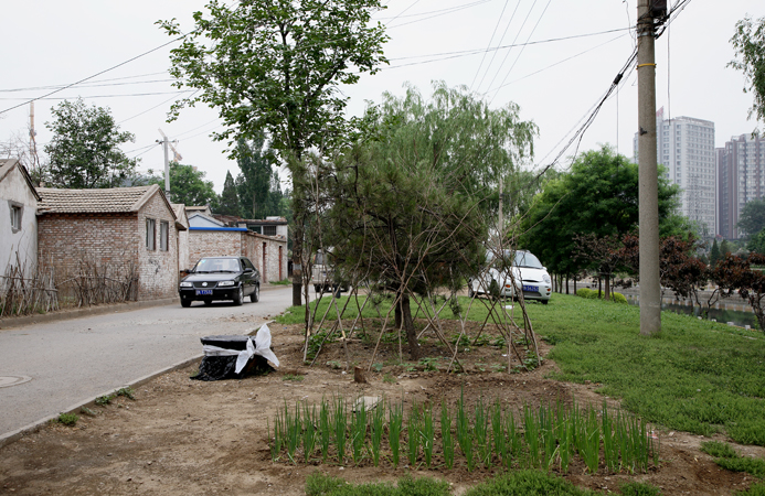 Yang Guang Shan Dong Qu.jpg