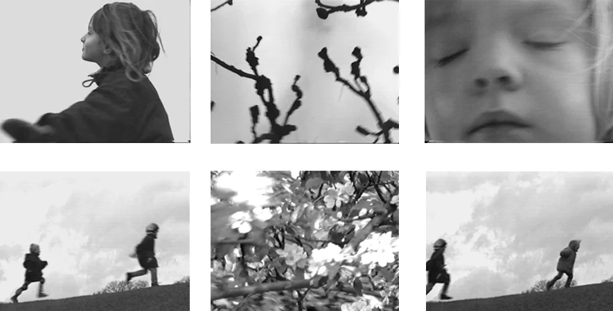 Set of Stills.jpg