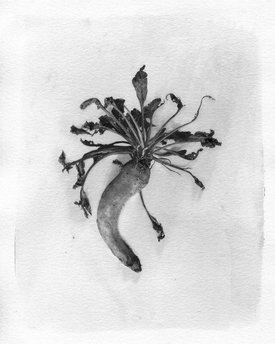 leftover # 05.jpg