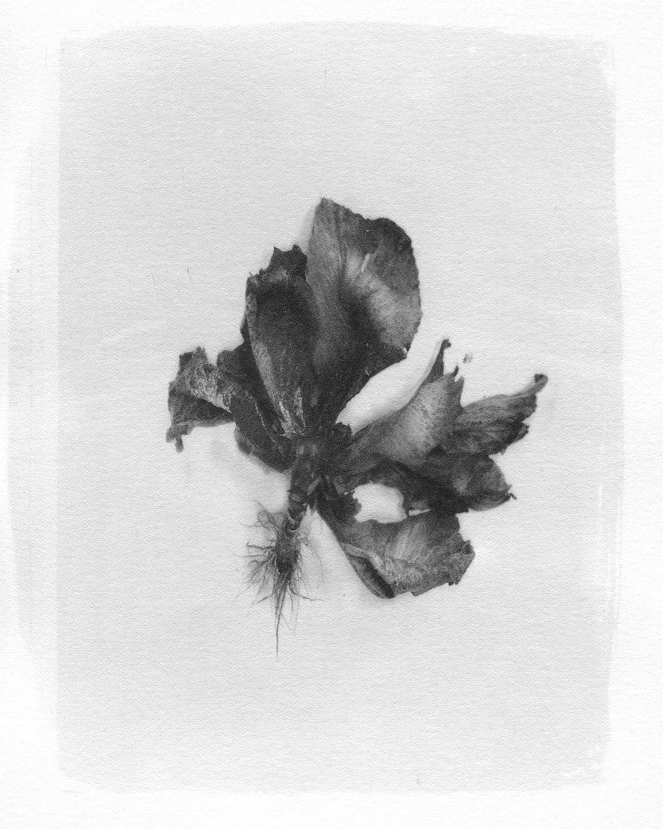 leftover # 06.jpg