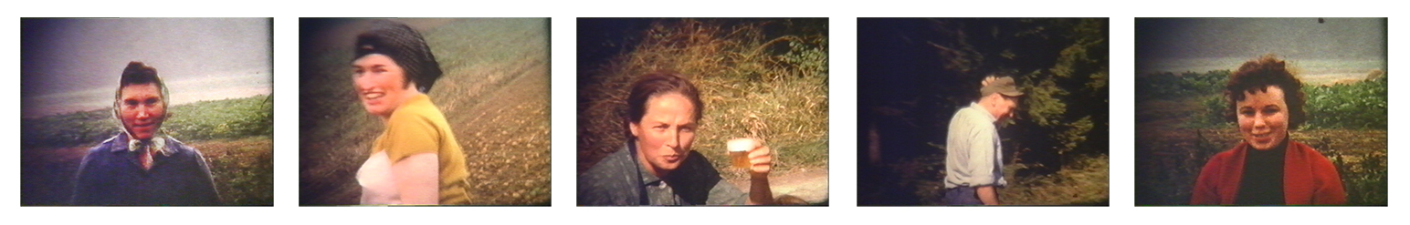  Potatao Harvest 1966