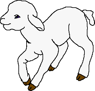 lamb.gif