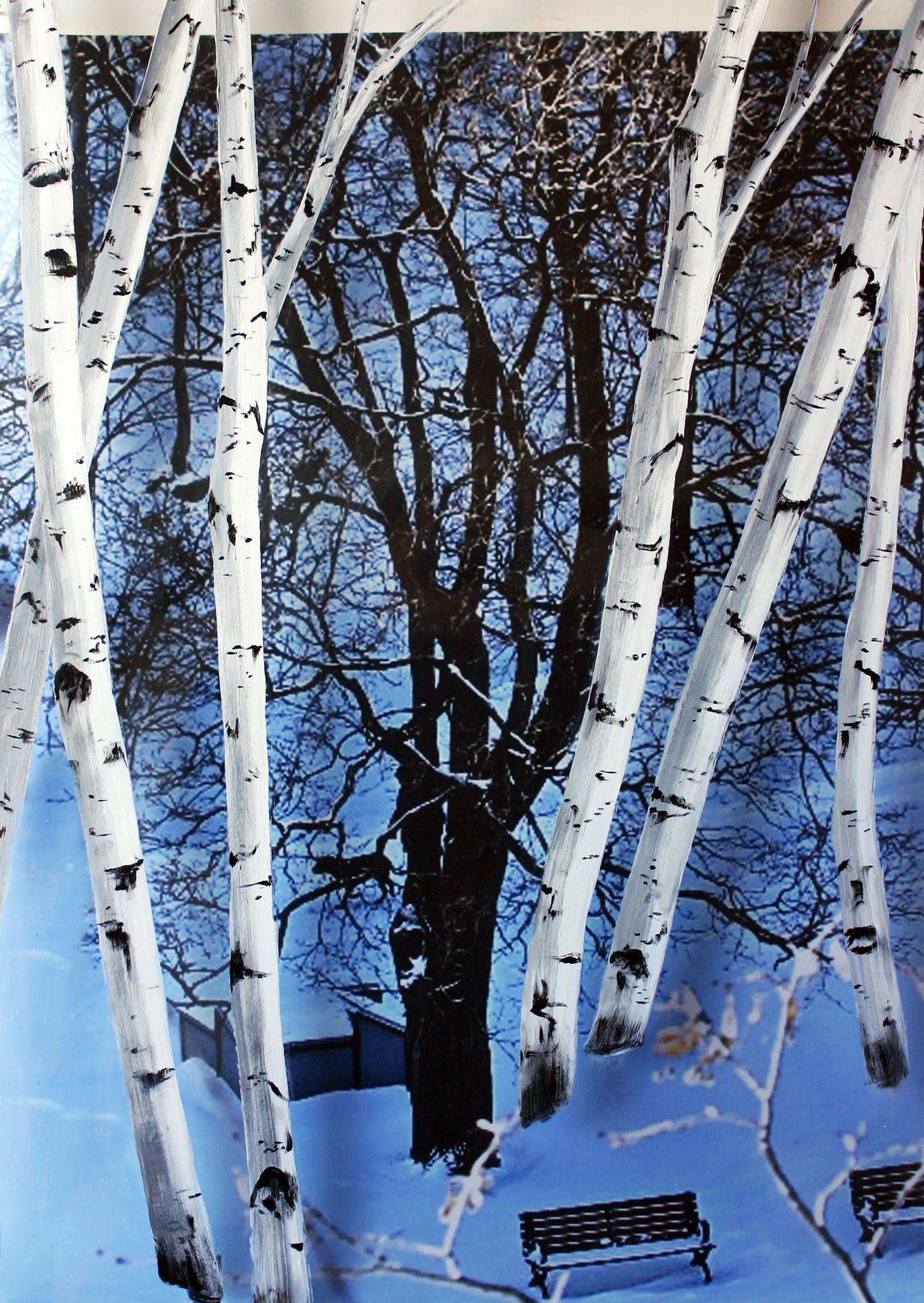 BirchBench.jpg