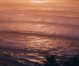 Direction: Geographic Magnets, Career Focus, & Place