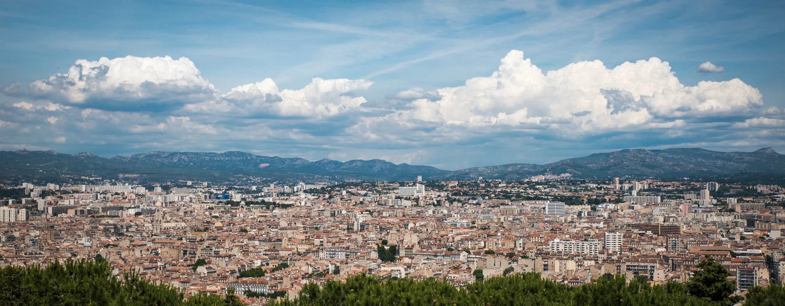 DSC_5034-2.jpg
