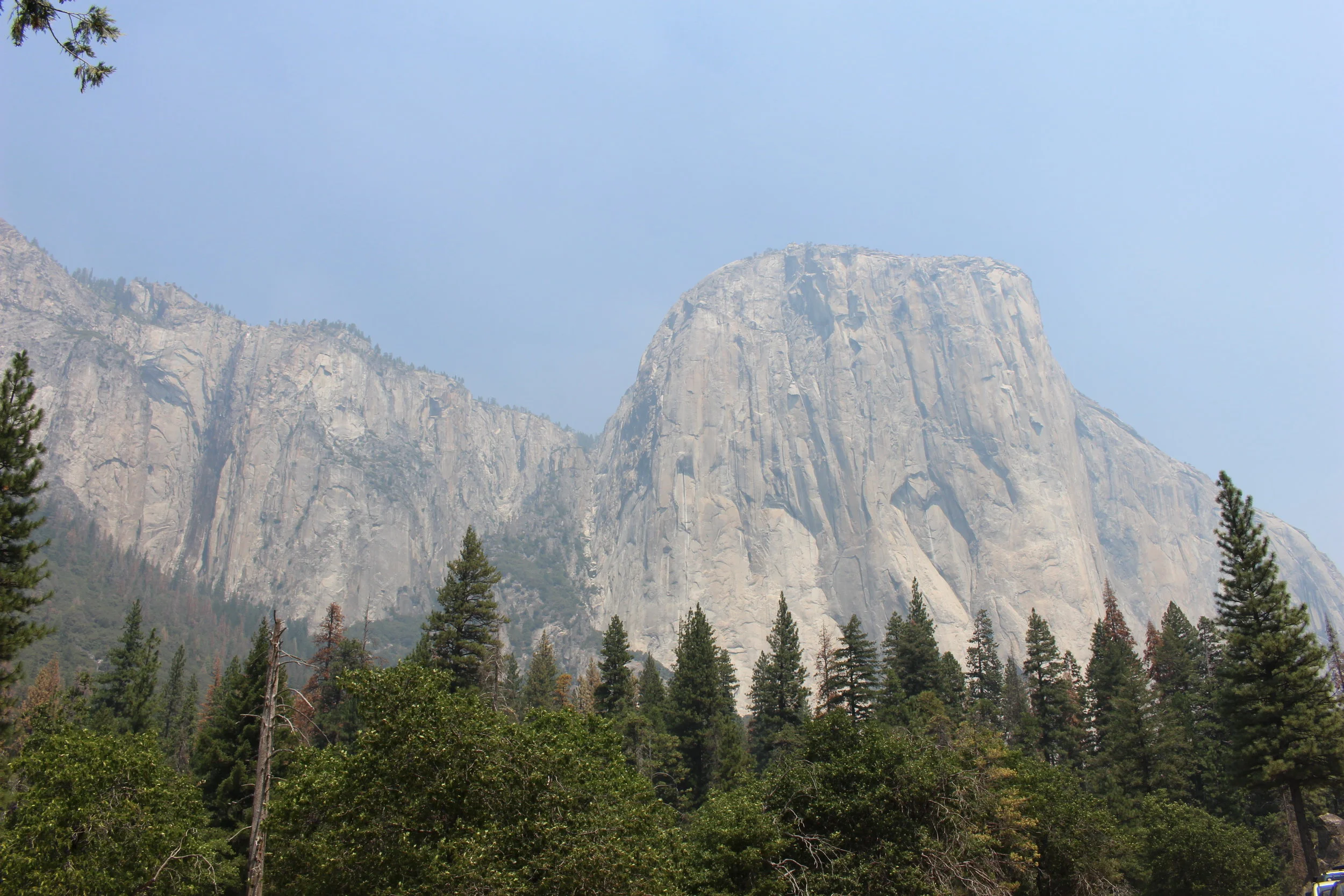 Communications Specialist - Writer, Freelance