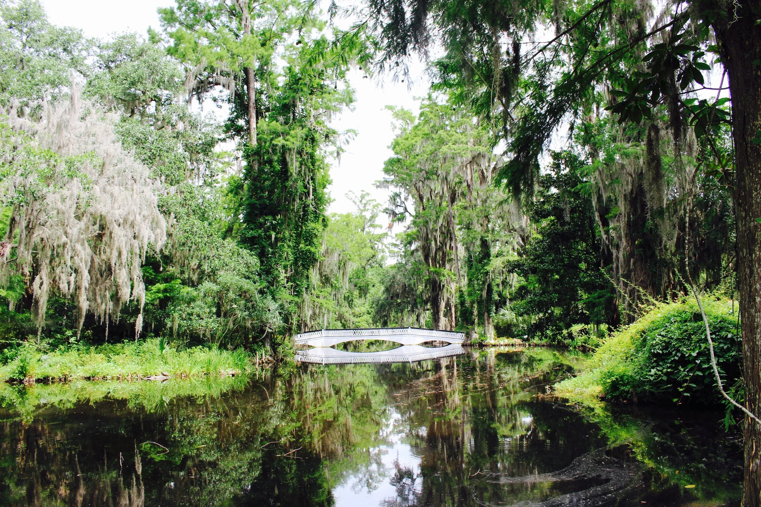 Magnolia Plantation