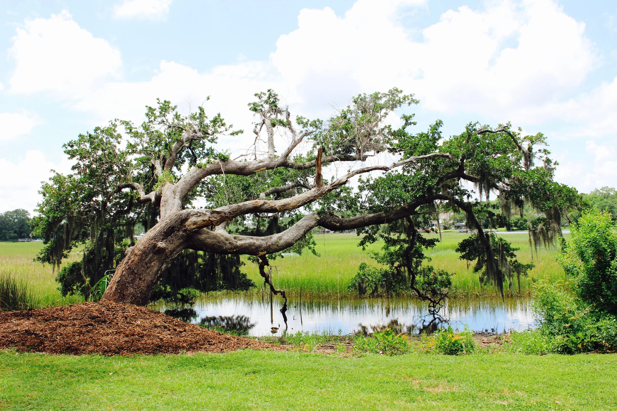 Boone Hall Plantation