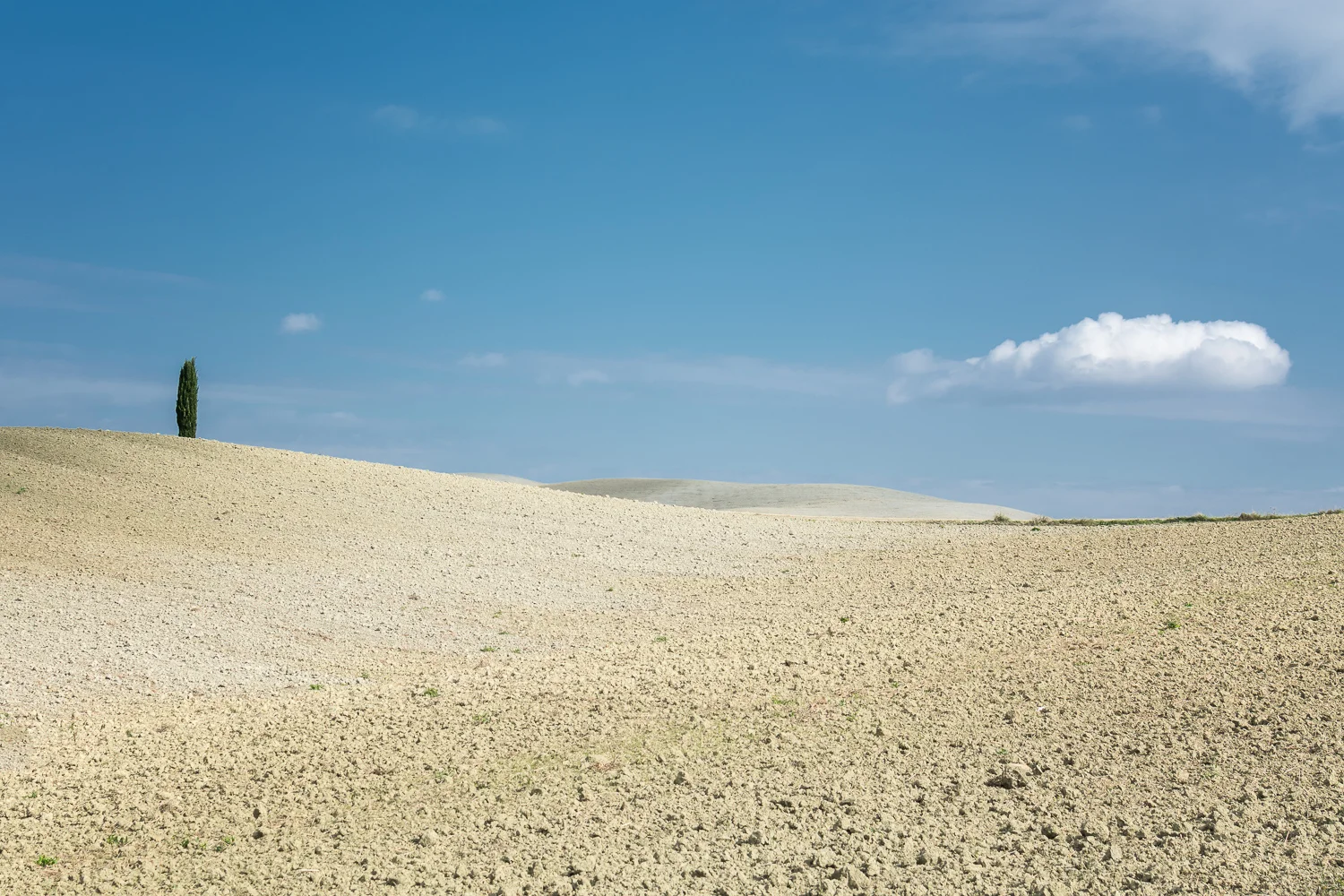 DSC_3423-Edit.jpg