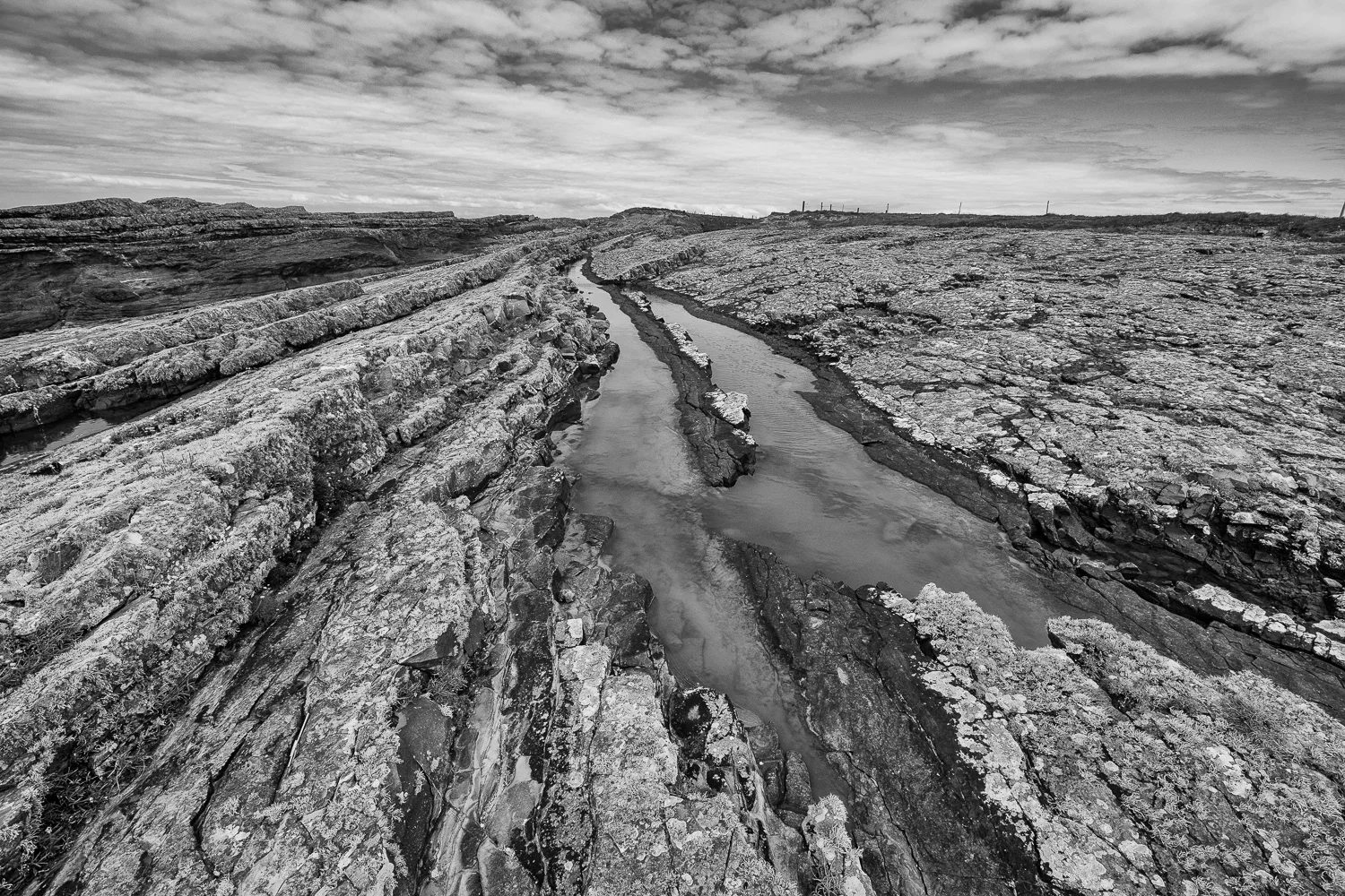 DSC_1632-Edit.jpg