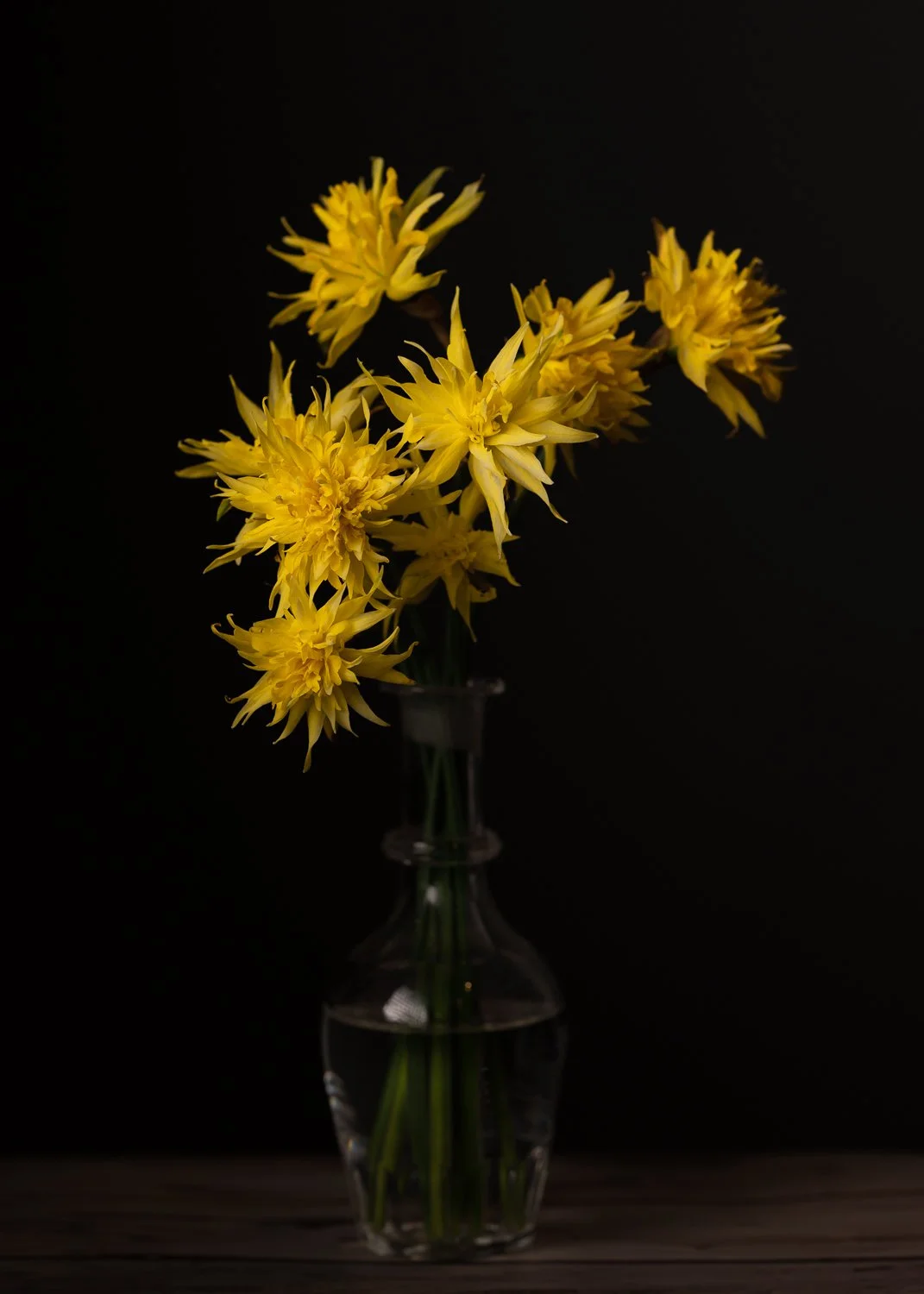 Studio Session-017-Edit.jpg