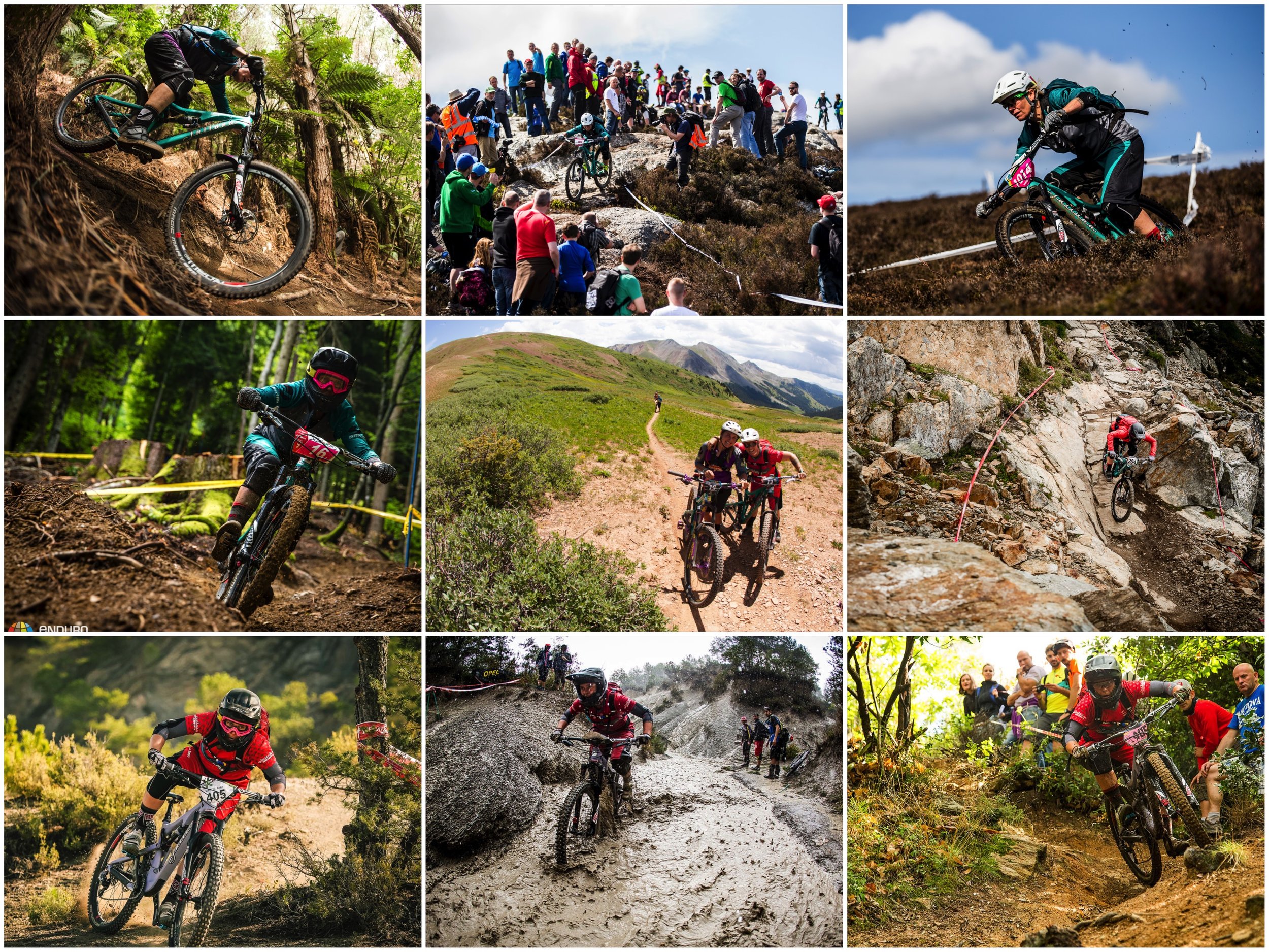2015 EWS Season: Rotorua New Zealand, Wicklow Ireland, Peebles Scotland, Samoens France, Crested Butte CO, Whistler Canada, Ainsa Spain, Finale Ligure Italy.