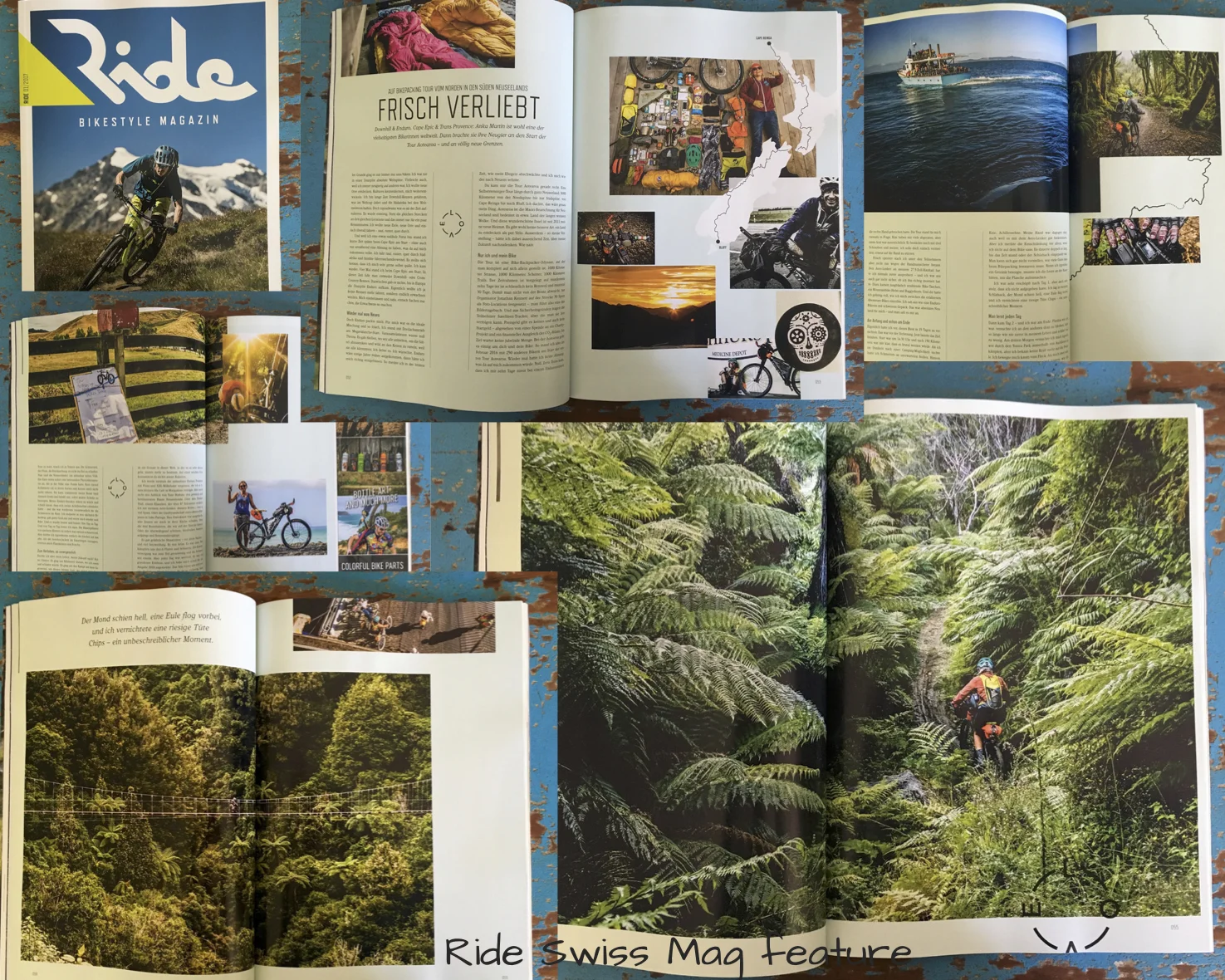 2017 was a busy year. Not much racing, but sooo many other projects.