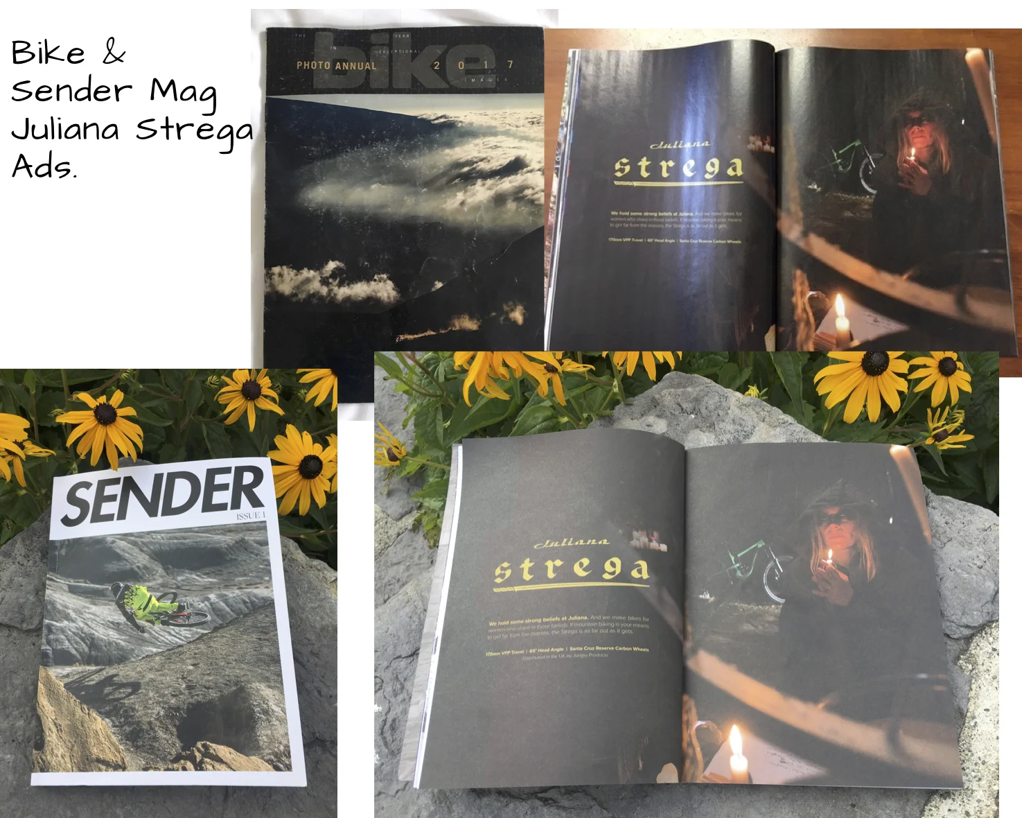 Anka Coverage 2017 web-418.jpg