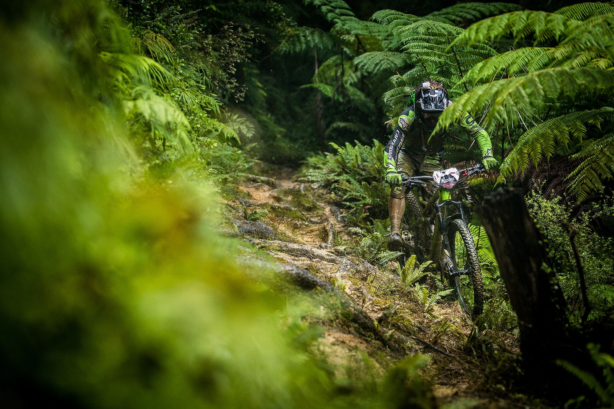 nzenduro-7371_preview boris.jpg