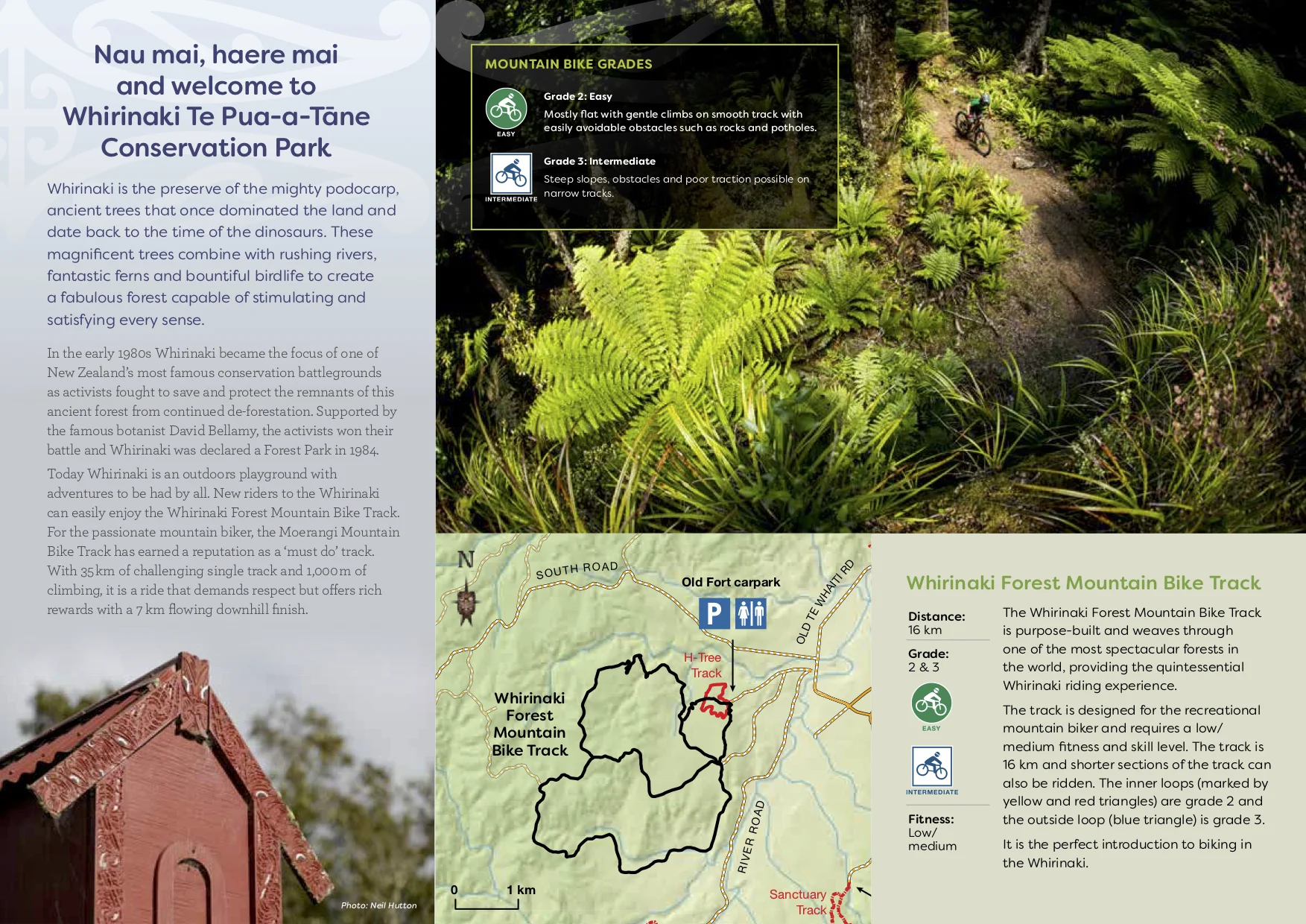 whirinaki-mountain-bike-guide2.jpg