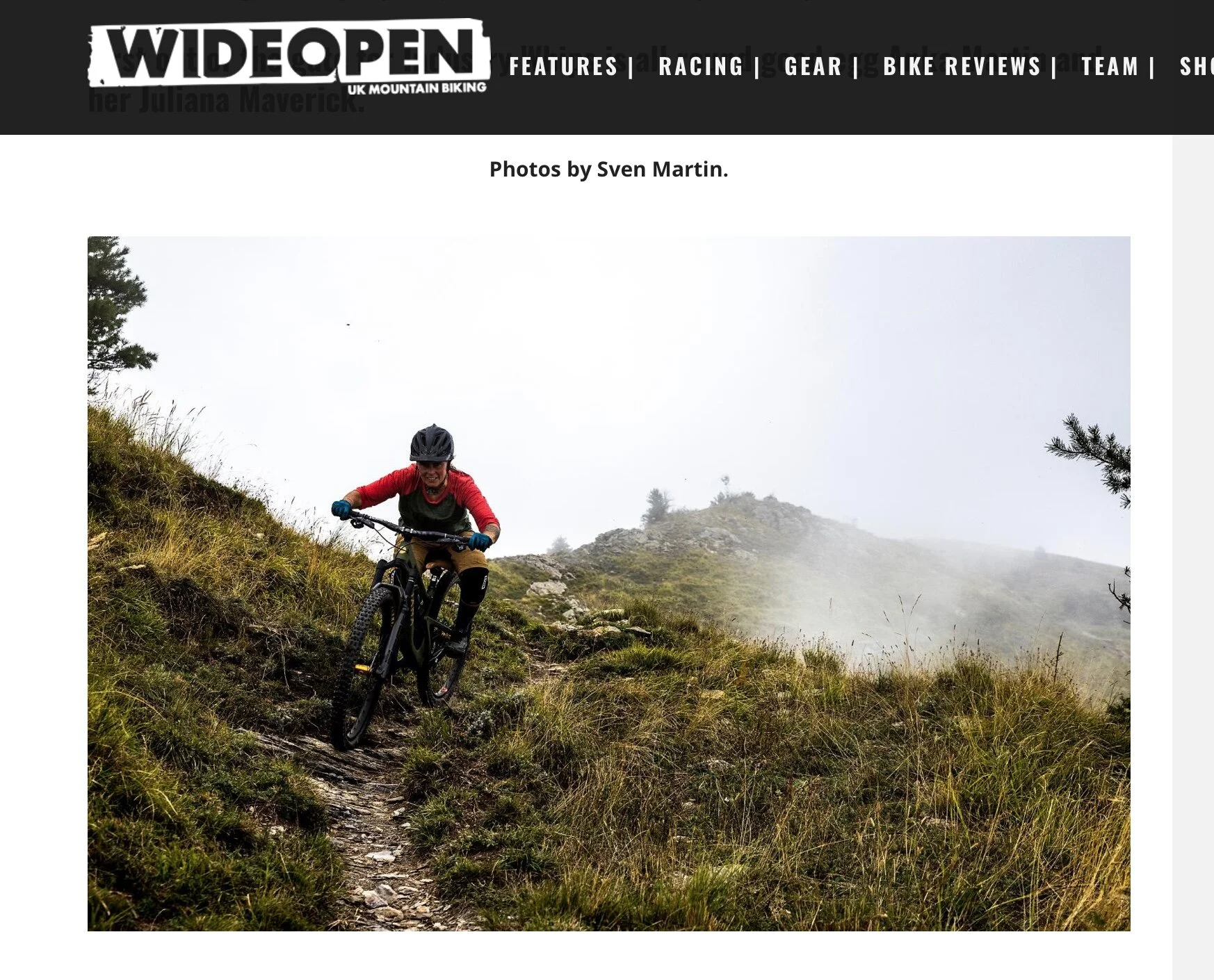 WideOpen Magazine Industry Whips.