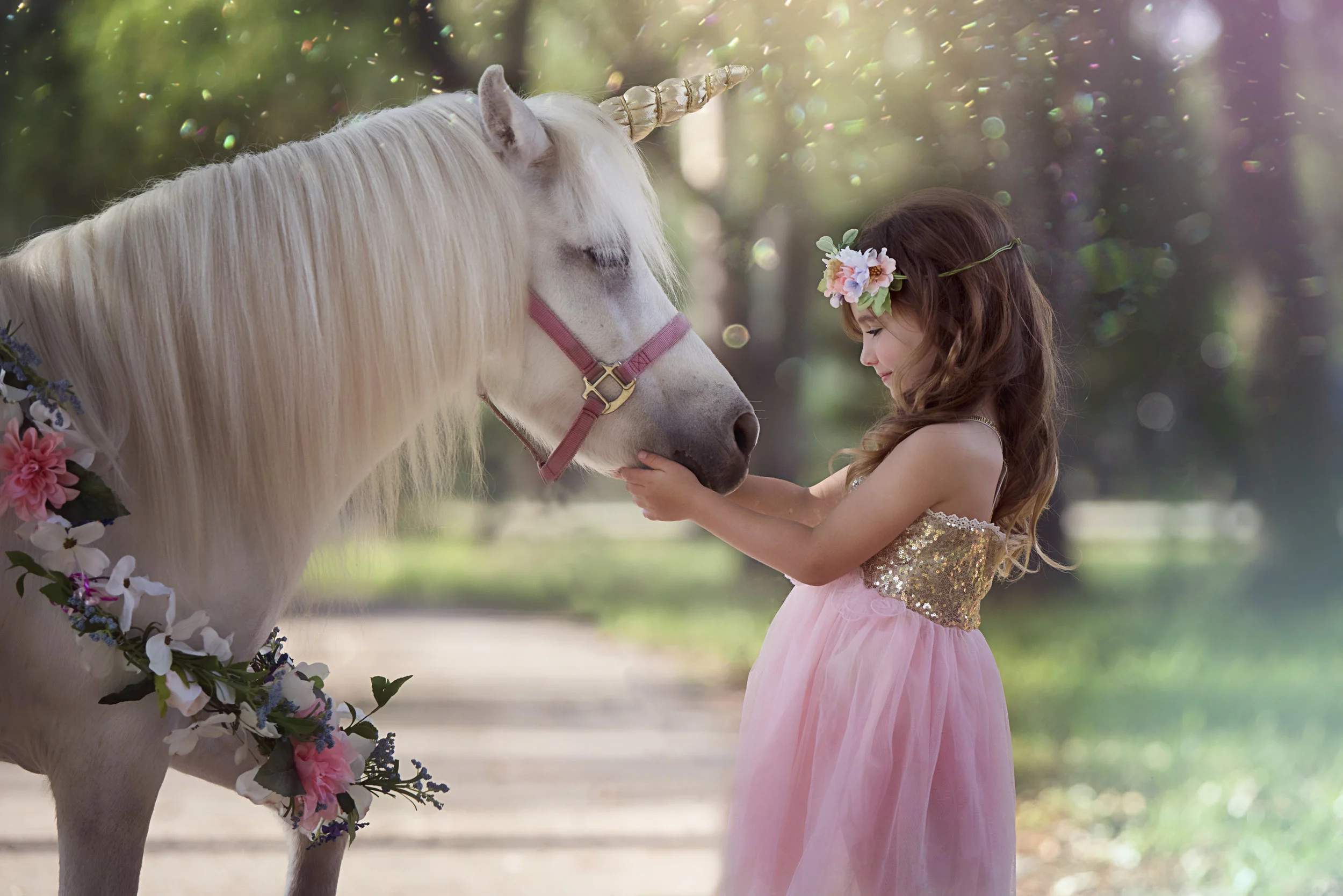 Orr_unicorn_9_glitter.jpg