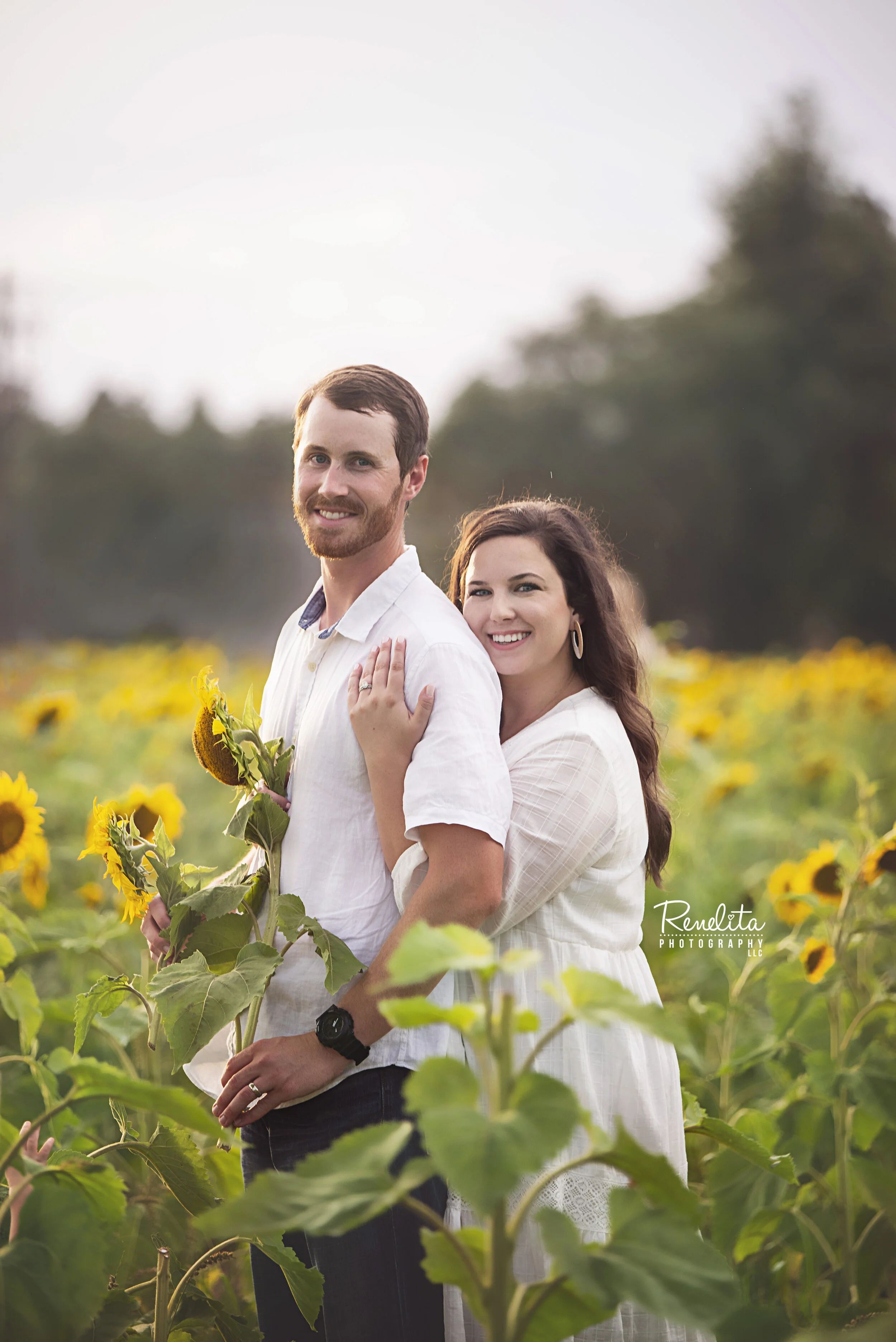 Krumcke_sunflower_Session_024.JPG