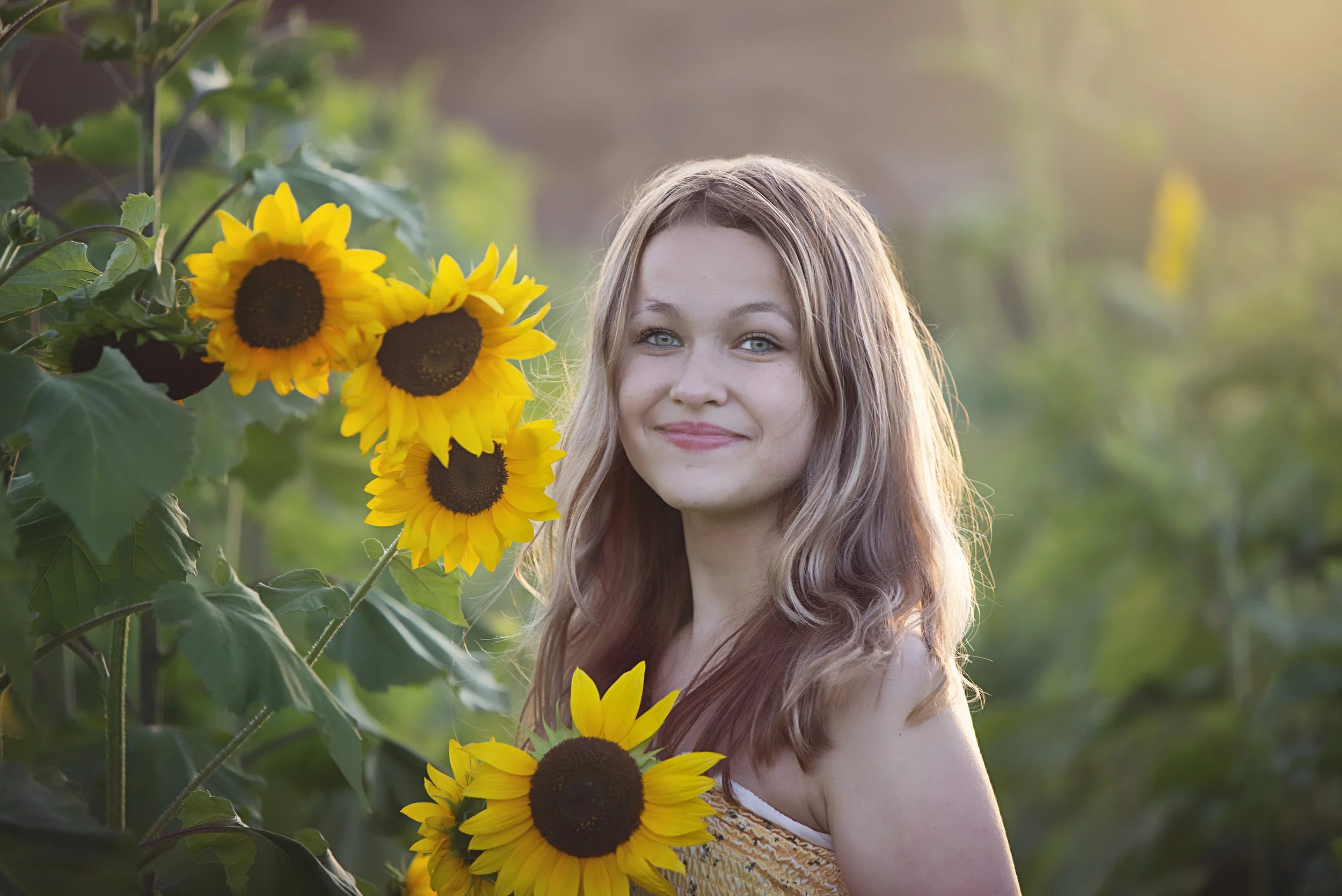 Davis_Sunflower_029.JPG