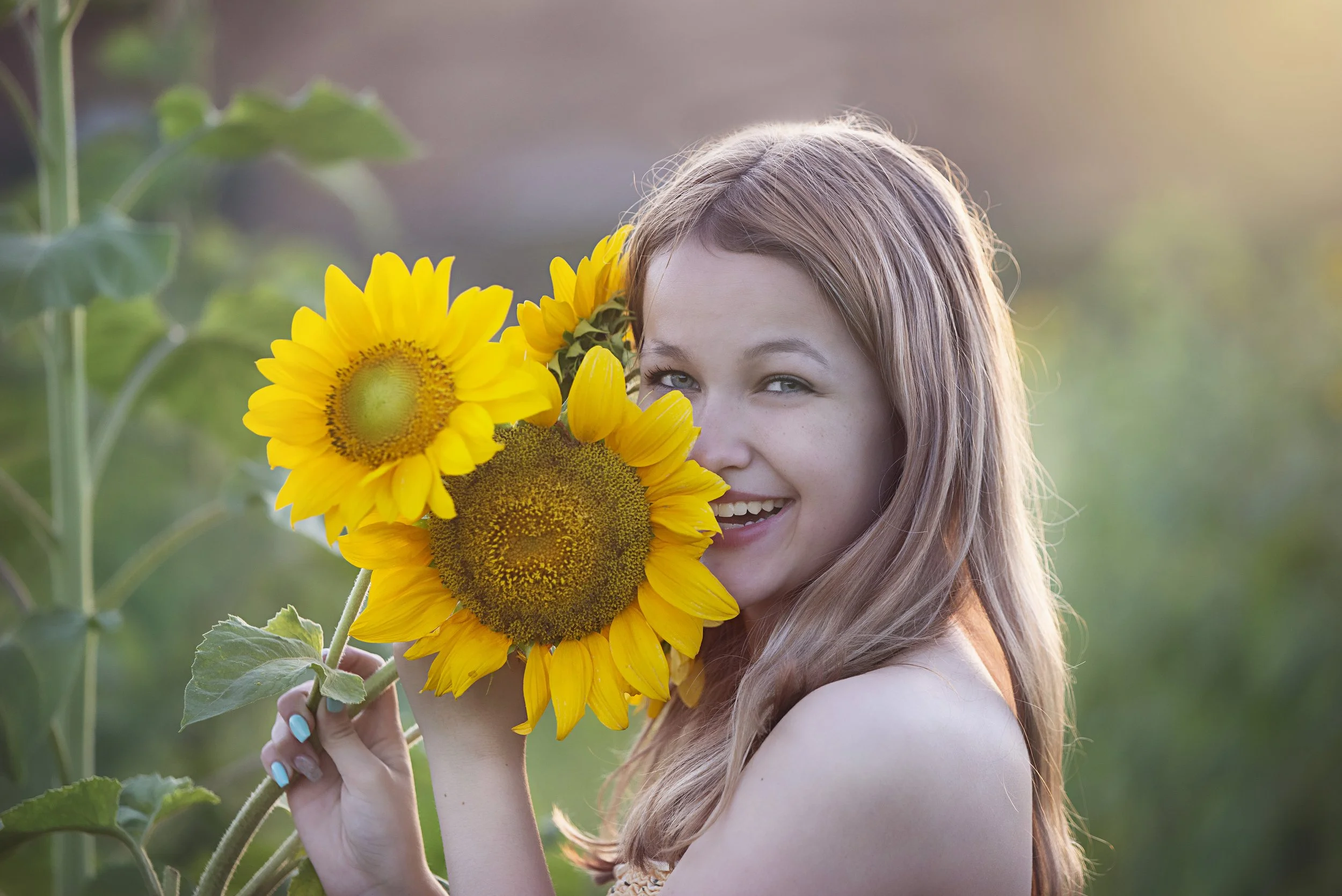 Davis_Sunflower_034.JPG