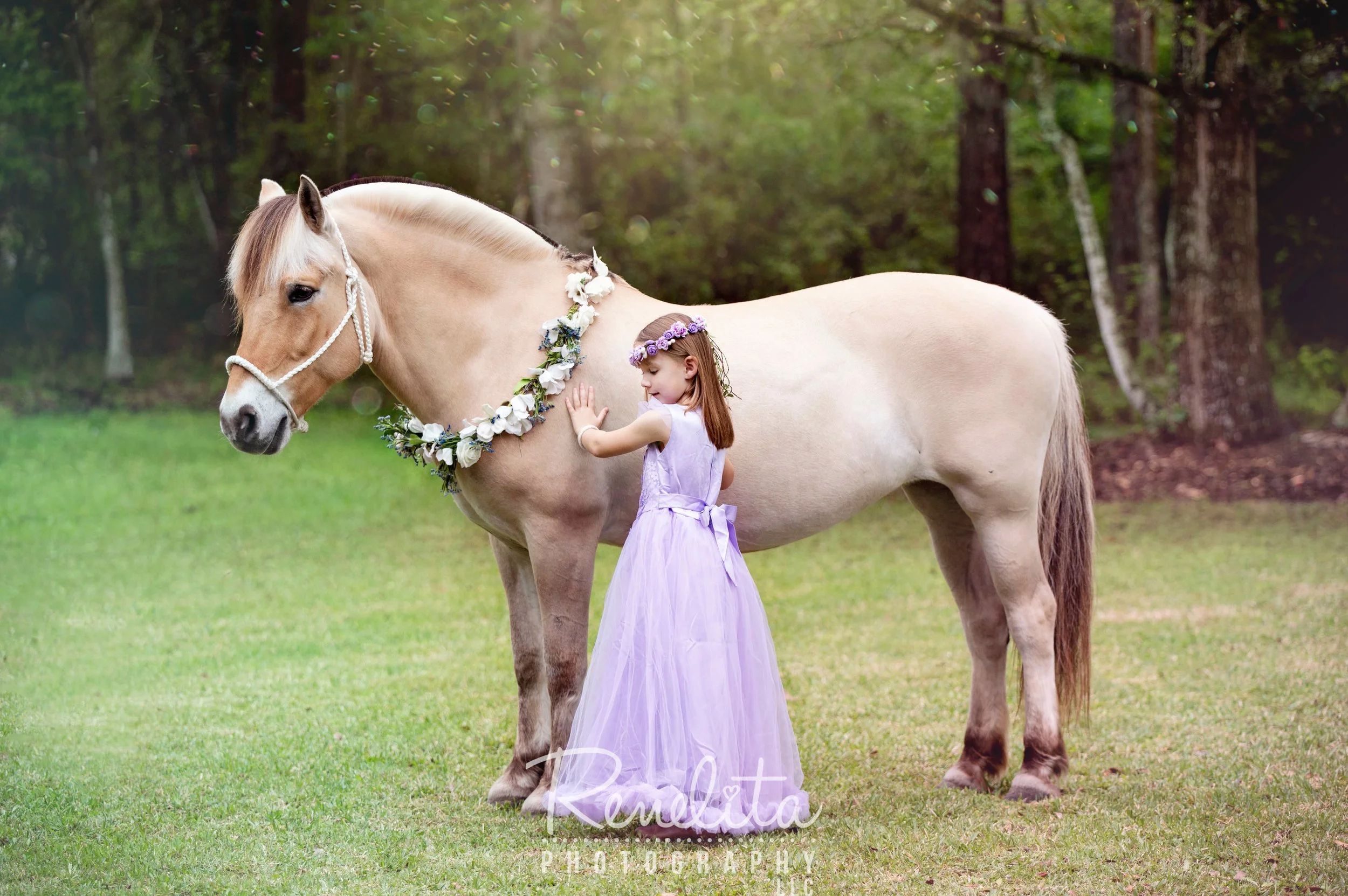 Light Purple (5/6)
