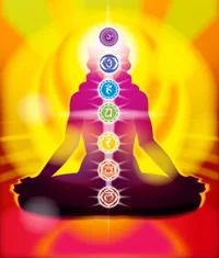 Journey Through The Chakras ~ Vinyasa Yoga Workshop