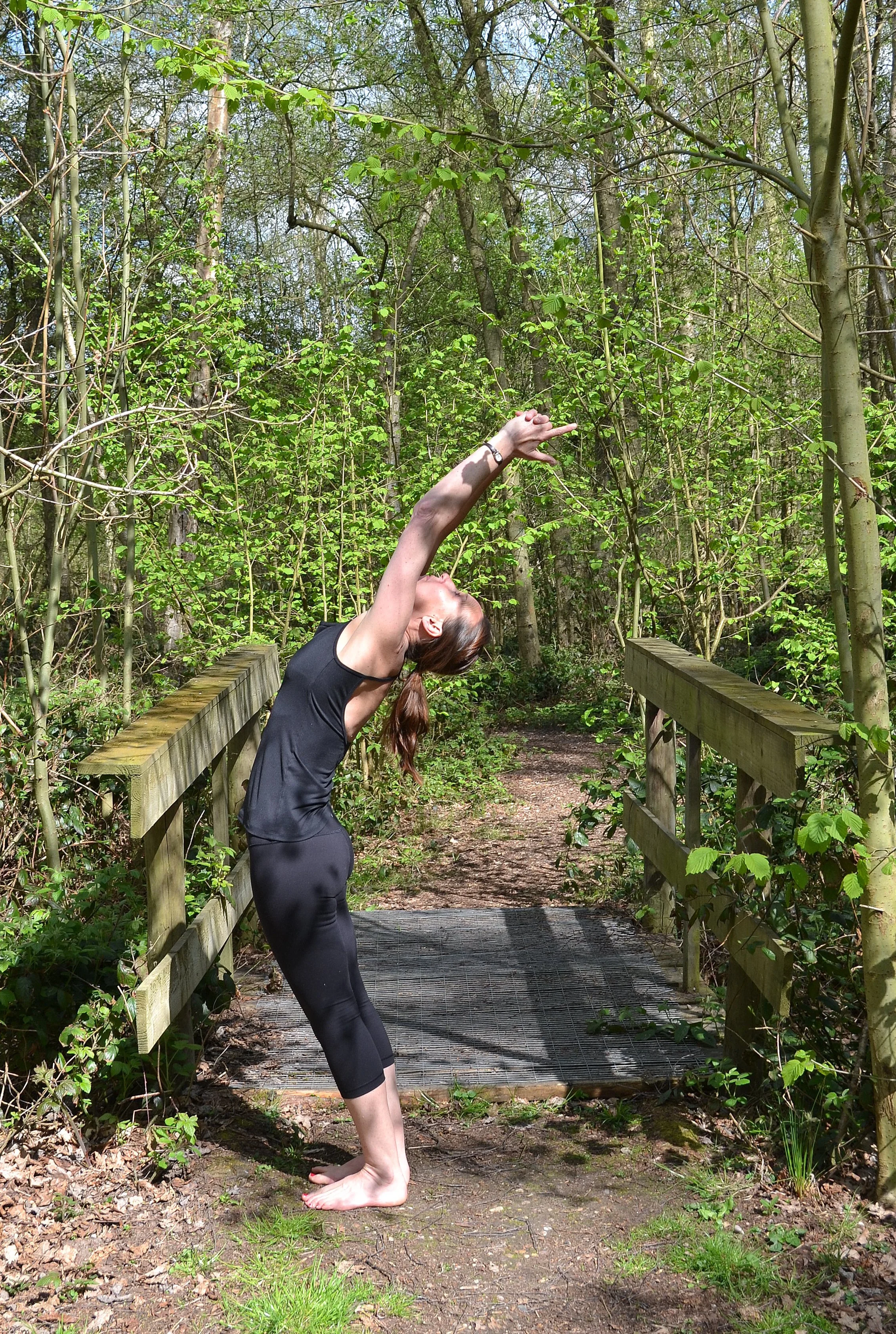 Spring Renewal Day Retreat