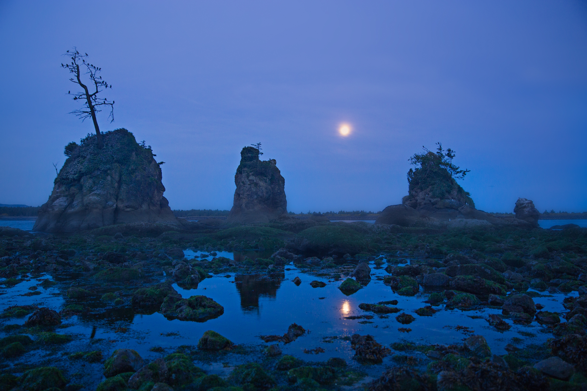 IMG_9770full moon by the sea stacks.jpg