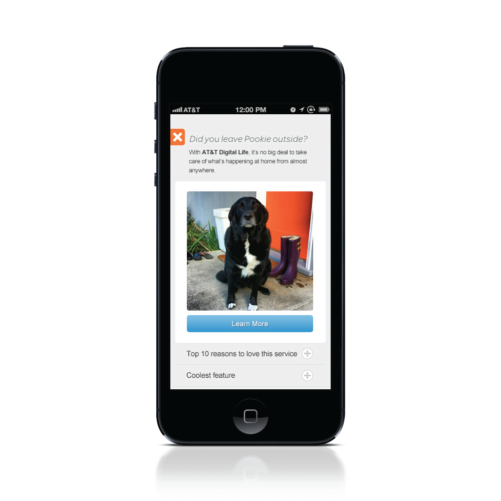 Thread_Pookie_ProductModule copy.png