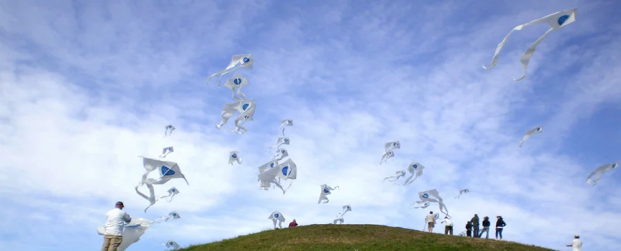 kites1.jpg