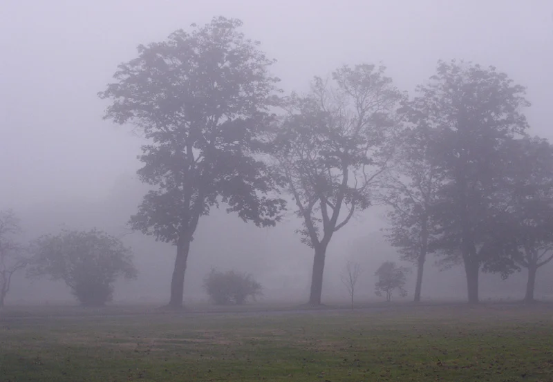 image5.jpg