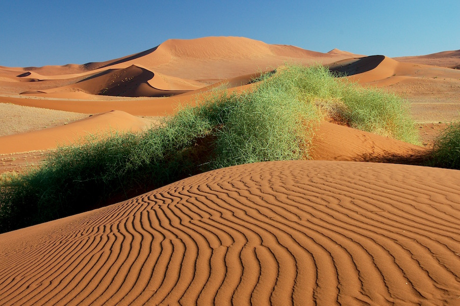 Namib Dunes, Sossusvlei 2.jpg