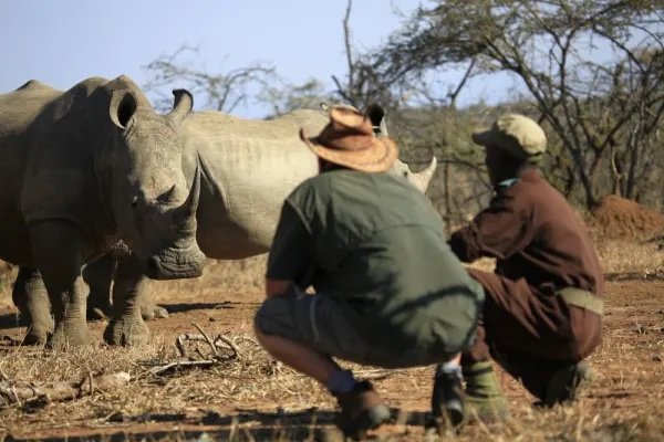 swaziland--mkhaya-game-reserve-121877.jpeg