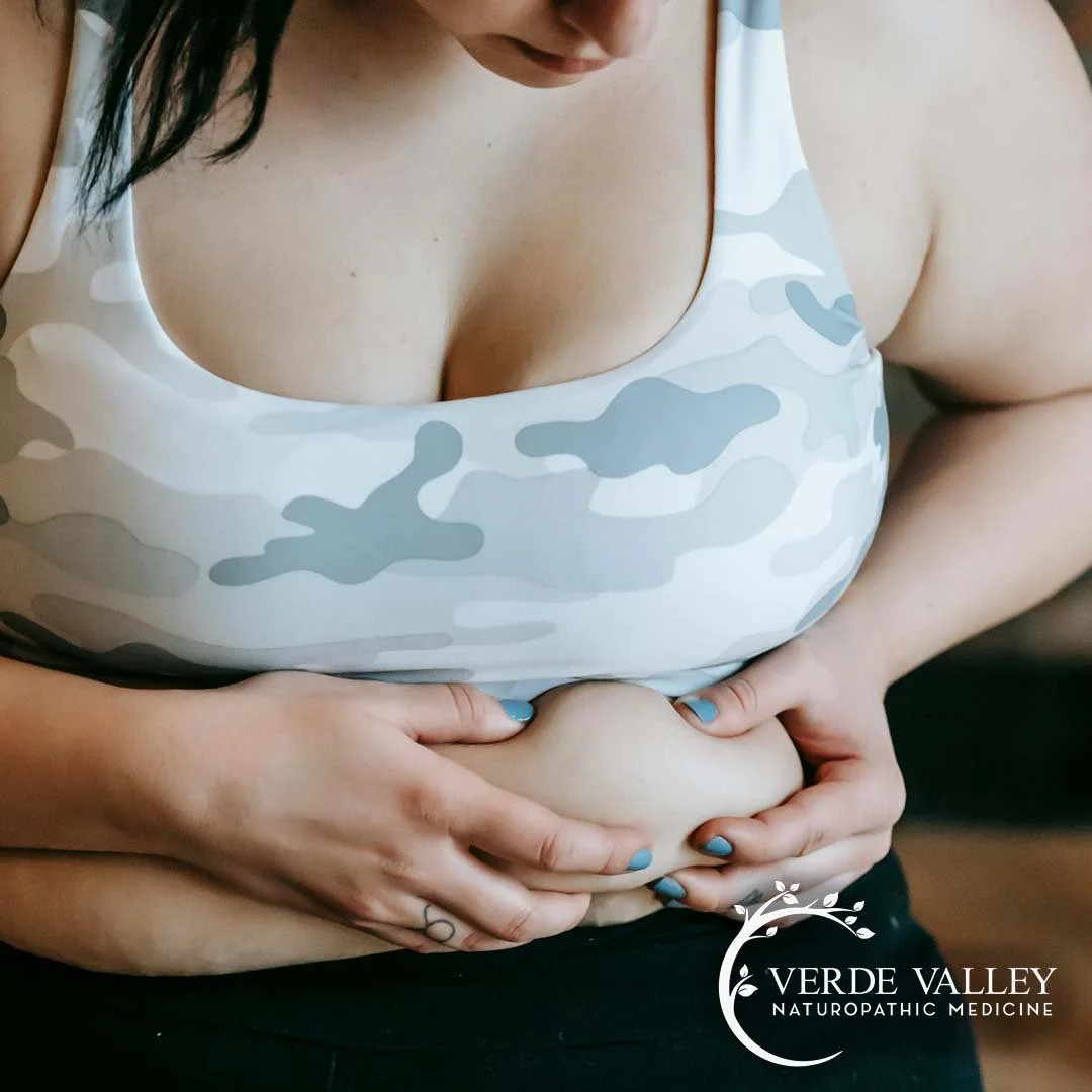 Understanding Obesity