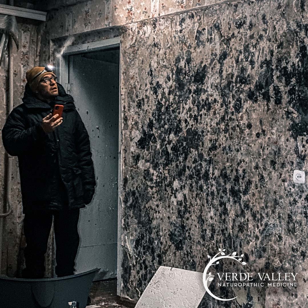 What is Black Mold and how does it affect the body?