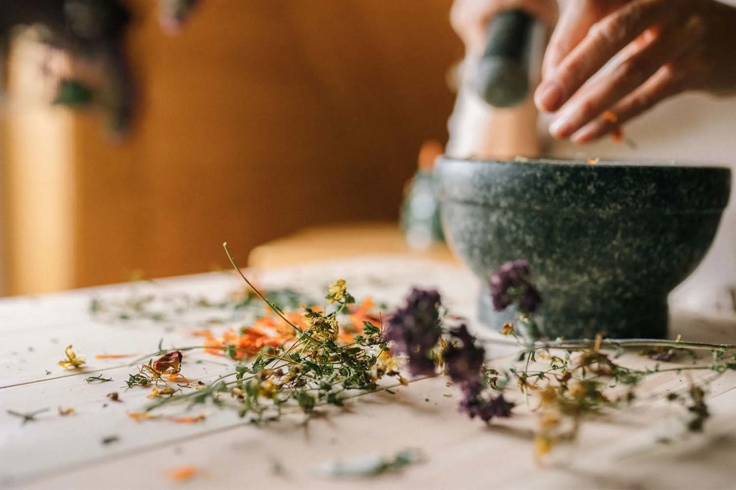 Botanical Medicine