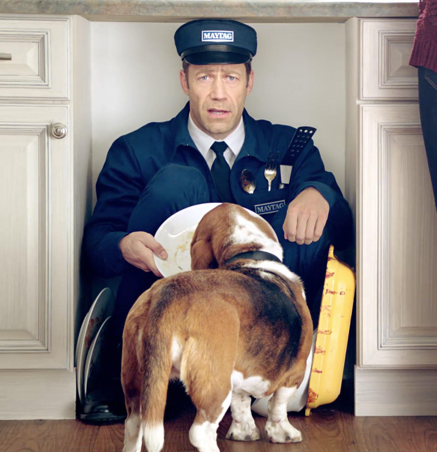 Maytag | Dog Dishes <br> pre-roll
